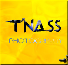 yann cult